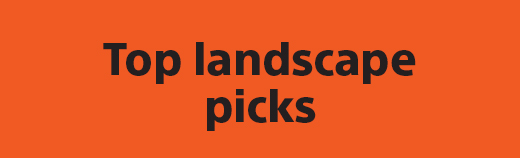 Top landscape picks